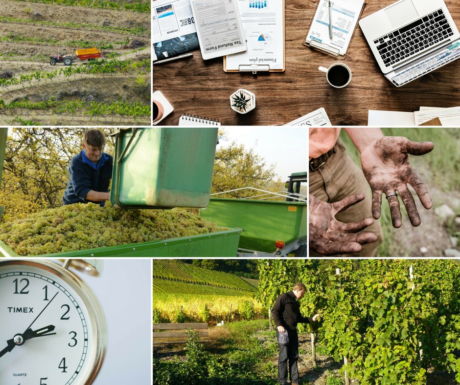 eVineyard_app's tweet image. Time management and work organization in vineyard: ow.ly/QgYc30mqssc #vineyard #workorganization #timemanagement