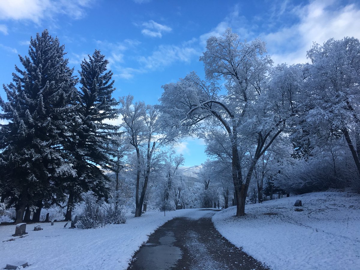 elyssa_pallai's tweet image. Winter has arrived