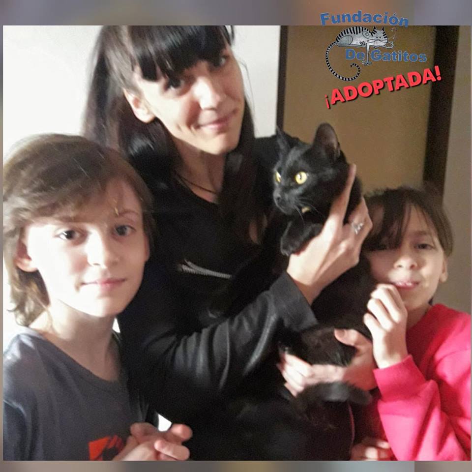 Buenas Noticias!📢

ANGELA fue adoptada!😺
Ya tiene mamá y 2 niños con quien jugar.
Se va a extrañar un montón, porque se hizo querer la enana y tuvo una buena estadía en casa.

Buena vida!❤️💚💜

#AdoptaNoCompres🐾