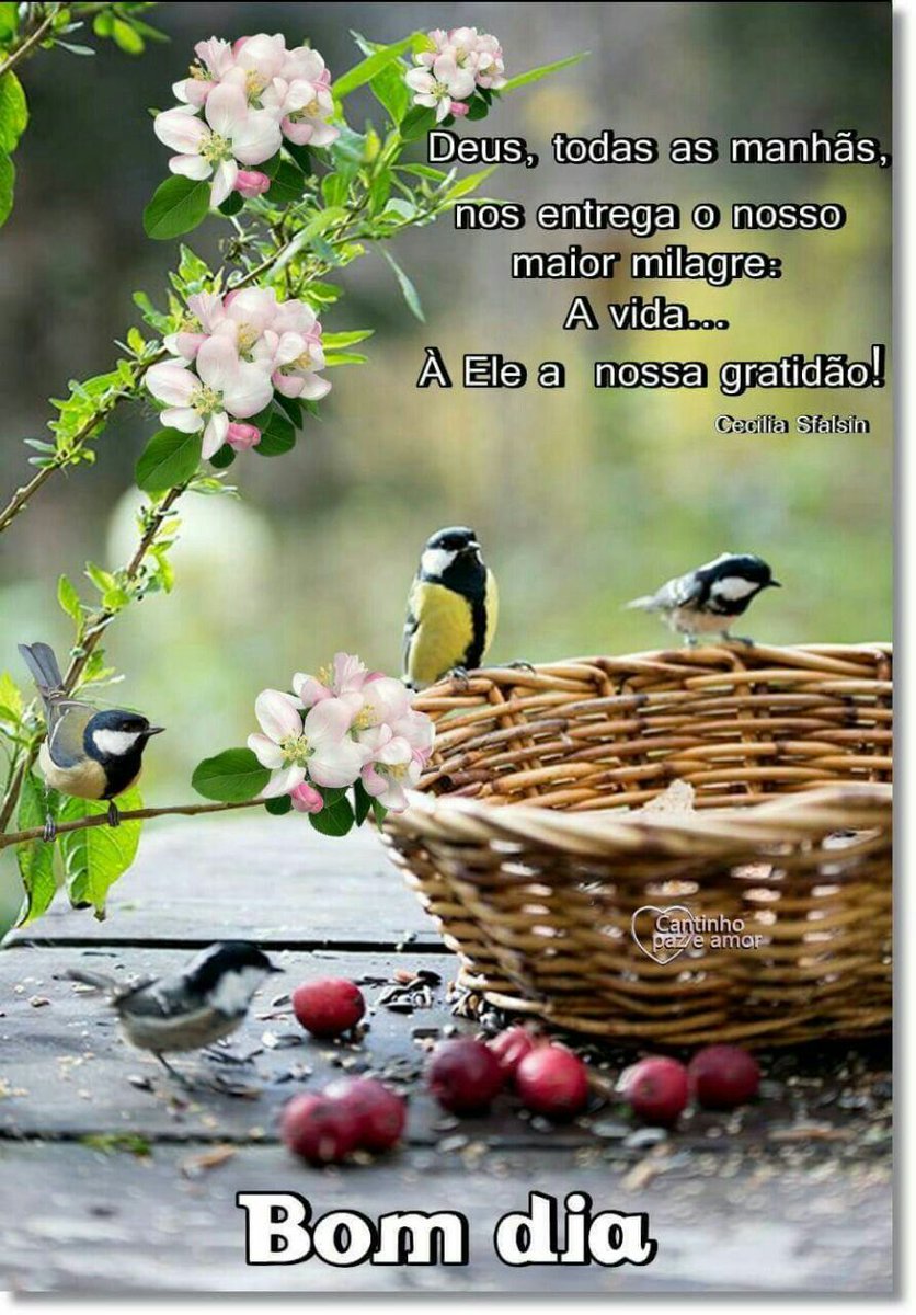- Deus todas as manhãs nos entrega o nosso maior milagre: a vida.... A Ele a nossa gratidão! -

Bomdia, ótima segunda feira!! 🍁