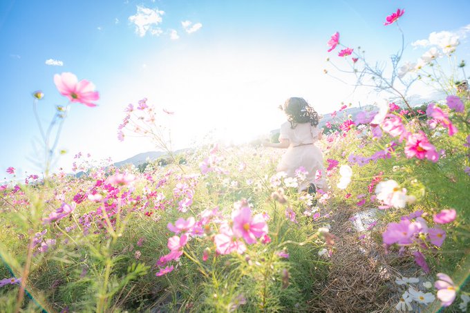 Twitterのコスプレ画像71