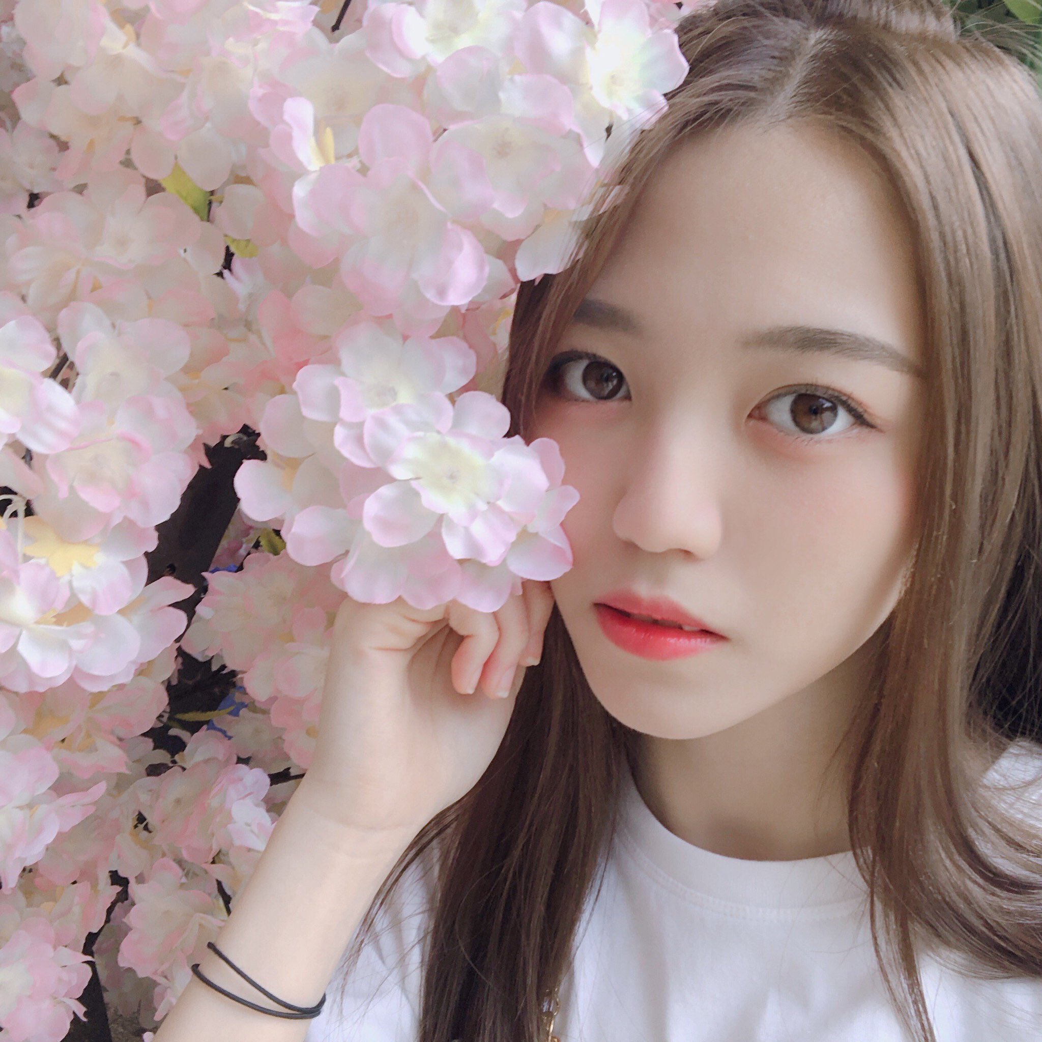 なびちゃん على X: 