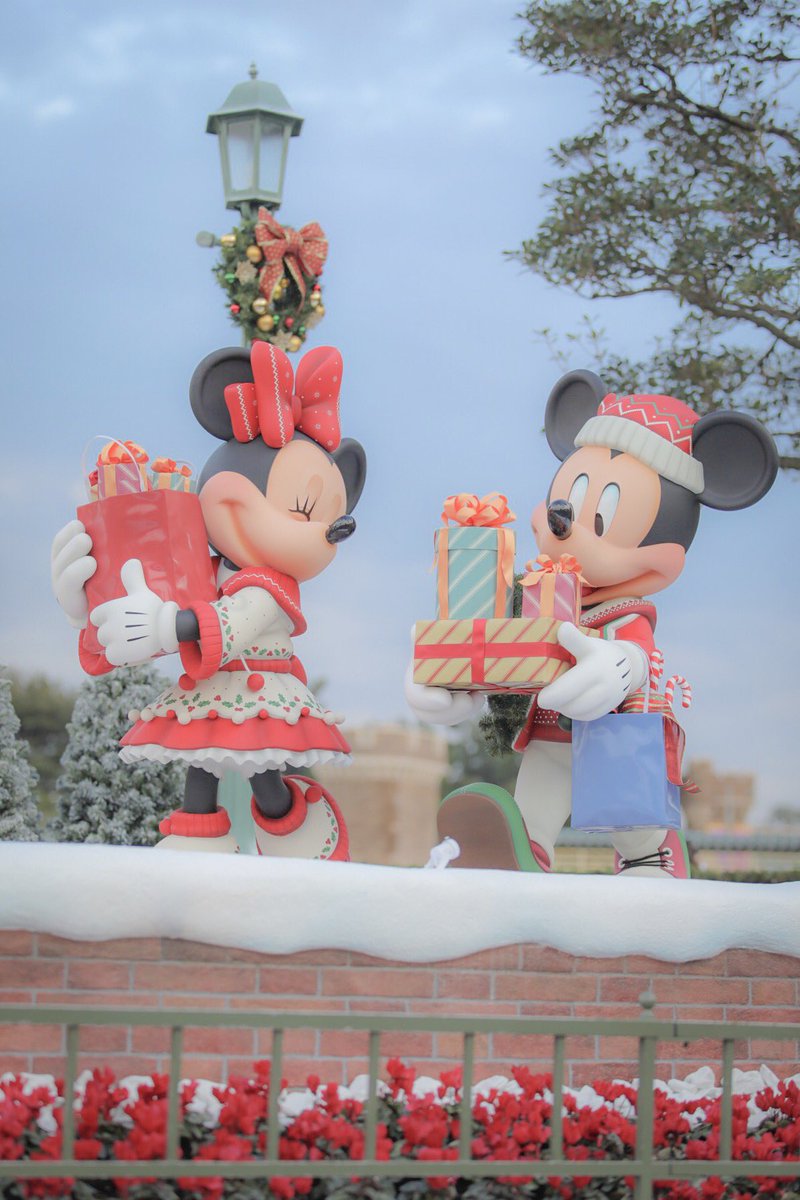 Disney13awf's tweet photo. クリスマスの装いが着々と🎄💝 https://t.co/0BUDIhYeW3