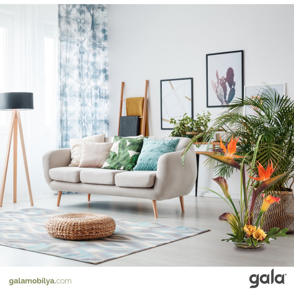 Gala Mobilya (galamobilya) Twitter