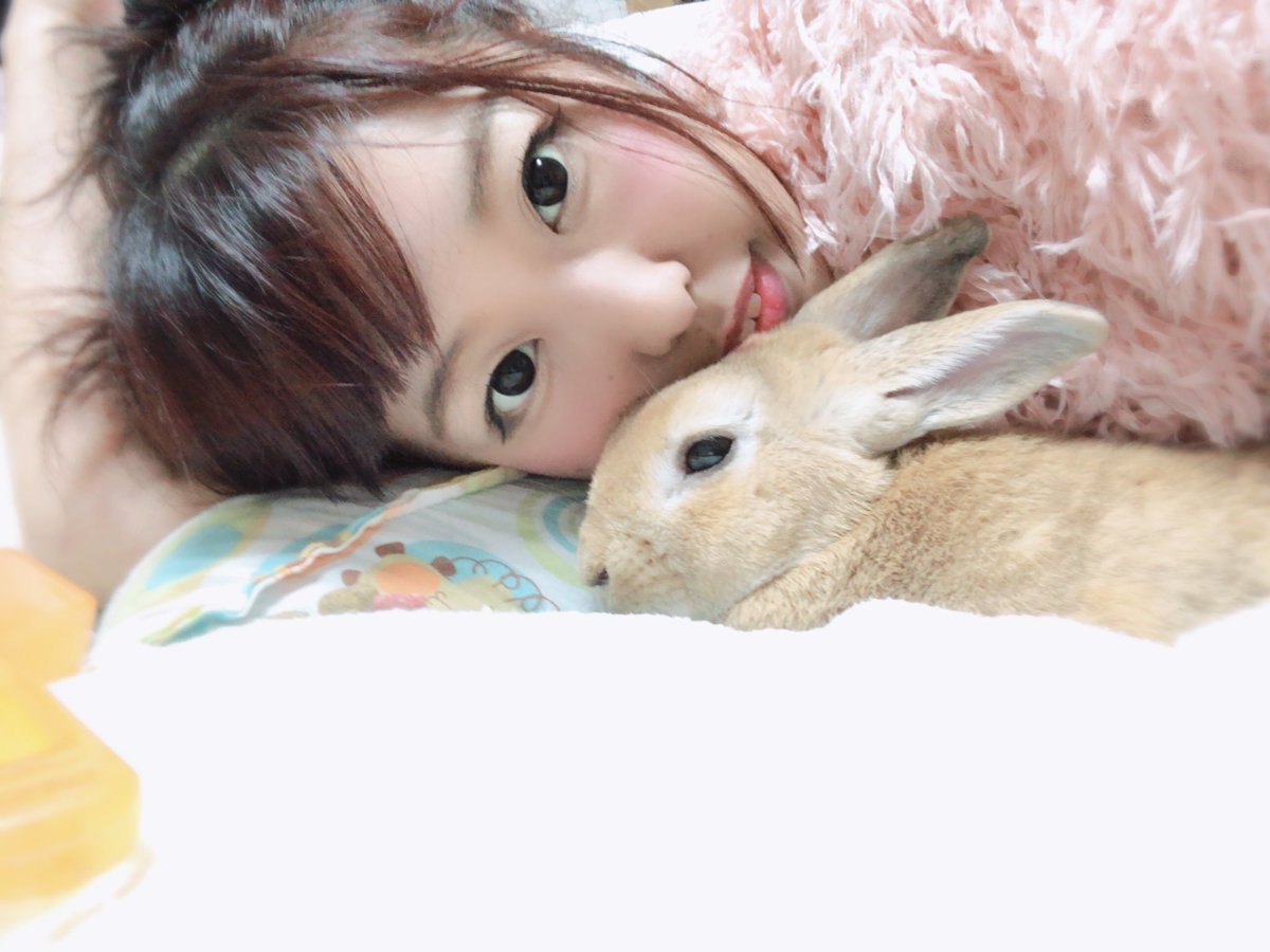 ট ইট র 夏目亜季 荒川区の政治家 ぐったりぴよちゃん 胃と盲腸が腫れてるんだって ストレスやら季節の変わり目で 体調くずしたかも らしい うさぎが元気なくなるのはまずいんだって 点滴したらバナナとお水のんでくれた 亜季とピヨ うさぎ