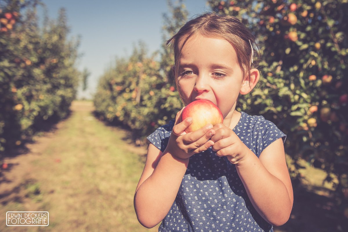 deckersfoto's tweet photo. Fruit season has come to an end in Haspengouw area. Every year it`s a season for photography projects... https://t.co/tcPLhX2kzd