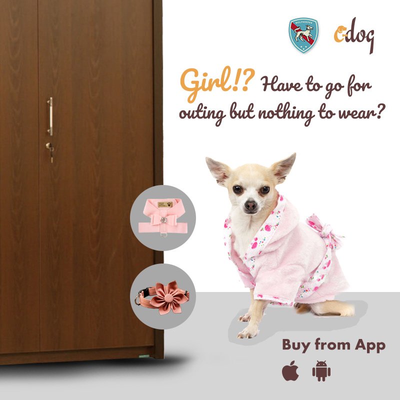 cdogonline's tweet photo. #WinterIsComing so start making your #shoppinglistforfall on this #dogbook app! Buy and Sell- Exchange #dogs accesories, clothes and toys on this app!
Connect to the #DogLovers around you easily:
Get the app :
https://t.co/4brrIlNabR
https://t.co/gORp24HNo9
#MondayMorning https://t.co/pKkFcPC1SU