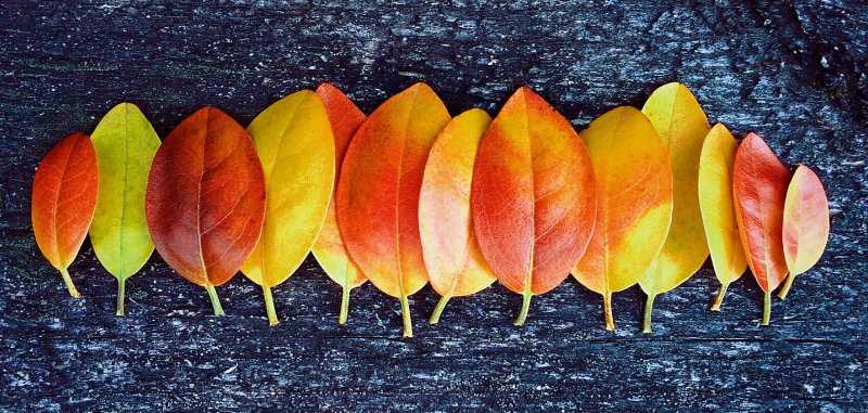 budgetlikealady's tweet image. NEW POST! October 2018 Blog Post Collection @LizOfficer @BitchesGetRich @CleverGirlCGF @ToBeTranquilMom @Frugal_Asian #personalfinance #blogroundup budgetlikealady.com/october-2018-b…