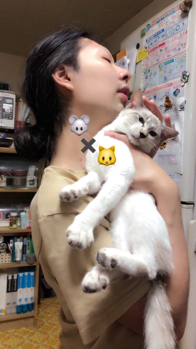 haeokaki's tweet photo. https://t.co/YsTHffGqxV