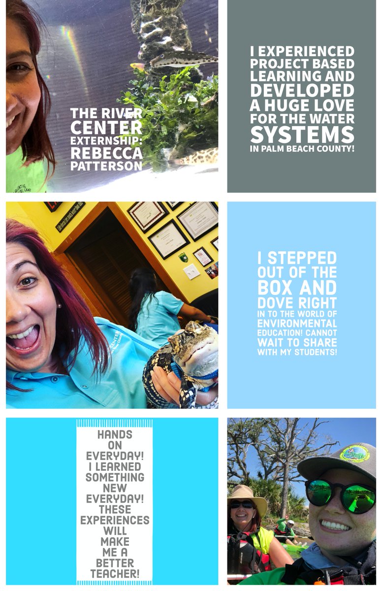 PBCSTEM's tweet photo. During my #STEMexternship @LoxRiverCenter, I wrote lessons, led story-time sessions & helped w/ day to day operations using my expertise as a 6/7th grade science teacher. I learned so much & have fallen in love w/ our environment all over again! Ss โค๏ธ#PBL conservation projects! https://t.co/Gi2mlXmEoD