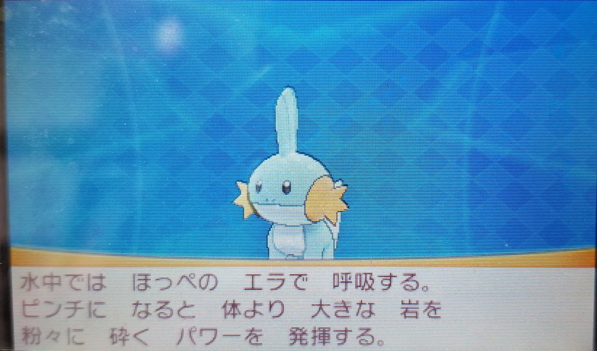 Amazinghisa ポケモンゲームでの活動12 ポケモンas アルファサファイア ではceylan セイラン でプレイ ルビーサファイアのリメイクですが コンテスト ひみつきち バトルリゾートなどやりこみ要素多いです ポケモンoras ミズゴロウ
