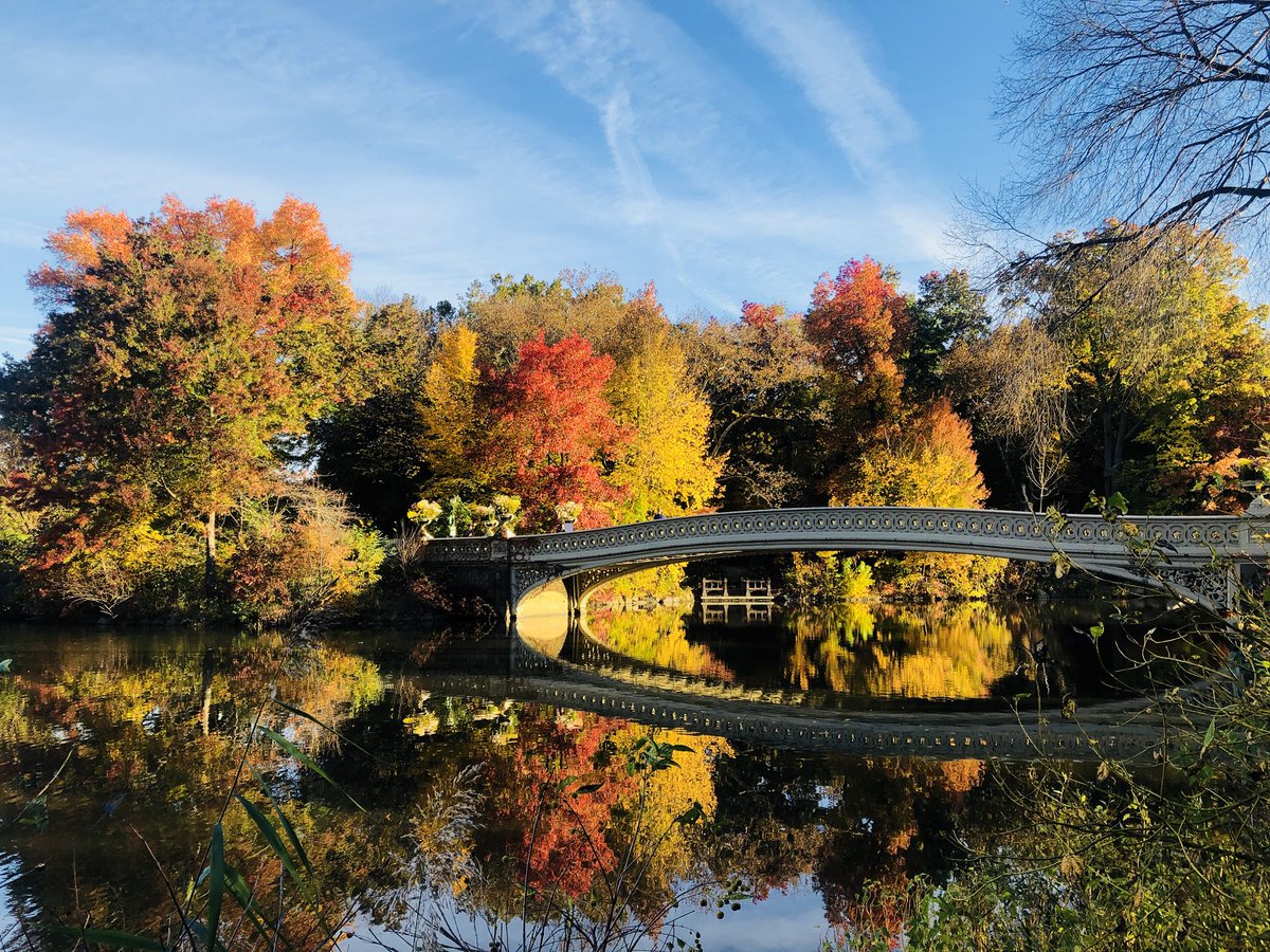 BehindTheBrand's tweet photo. My walk yesterday morning in @CentralParkNYC was one of the most beautiful! Day by day, nature shows us its beauty, all you need to do is show up and be present 💚 #walkwithwalsh https://t.co/LQeaCFkO9q