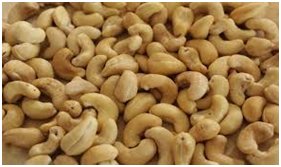 Dfm_Tz's tweet photo. Serikali yatangaza baraka kwa wakulima wa korosho mkoani Mtwara. Ni baada ya zao hilo kupata bei mpya kutoka shilingi 2717 kwa kilo hadi shilingi 3016 kwa kilo. #dfmupdates #agriculture #farming #crop #economy #politics #Tanzania https://t.co/y0uwQ2eOxk