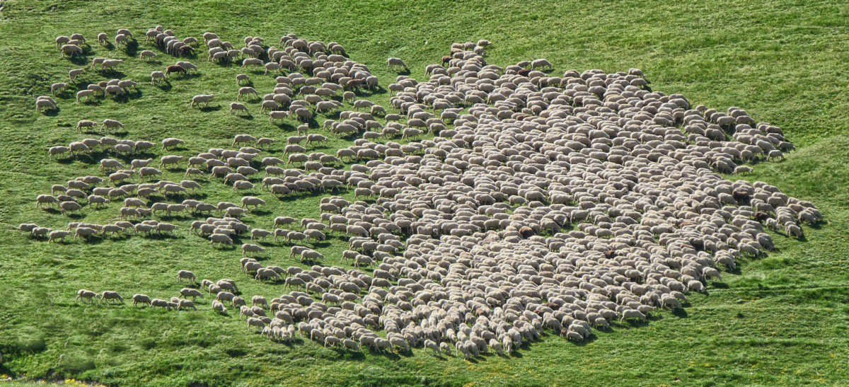 Emergent Design and Black Swans: Designing A Space For Randomness and Awe dlvr.it/QqTqB3