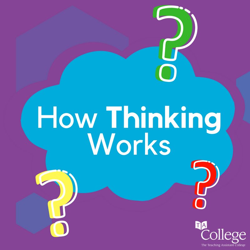 TAConnectCPD's tweet photo. How thinking works: 5 Strategies to Enhance Independent Learning
Could creating independent thinking be the secret to real independent learning? 🧠

Want to learn more about Metacognition? Enrol on our short course now!
https://t.co/SHIzZv8I8a

https://t.co/NWZWdGyQ3c https://t.co/K1Fq9DRWoN