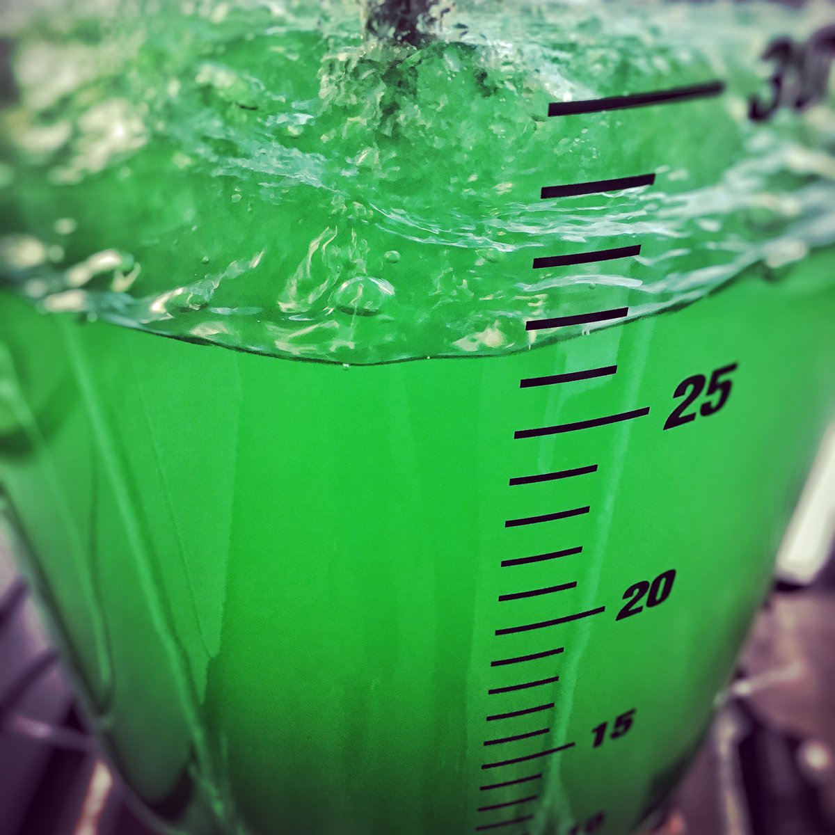 KarlGademann's tweet photo. Really excited: The project 'Green surfing' will be funded by @grstiftung_ch for three years to work on algae drug delivery. Welcome @JoaoMolino to @UZH_Science ! https://t.co/CoOahnQBIr