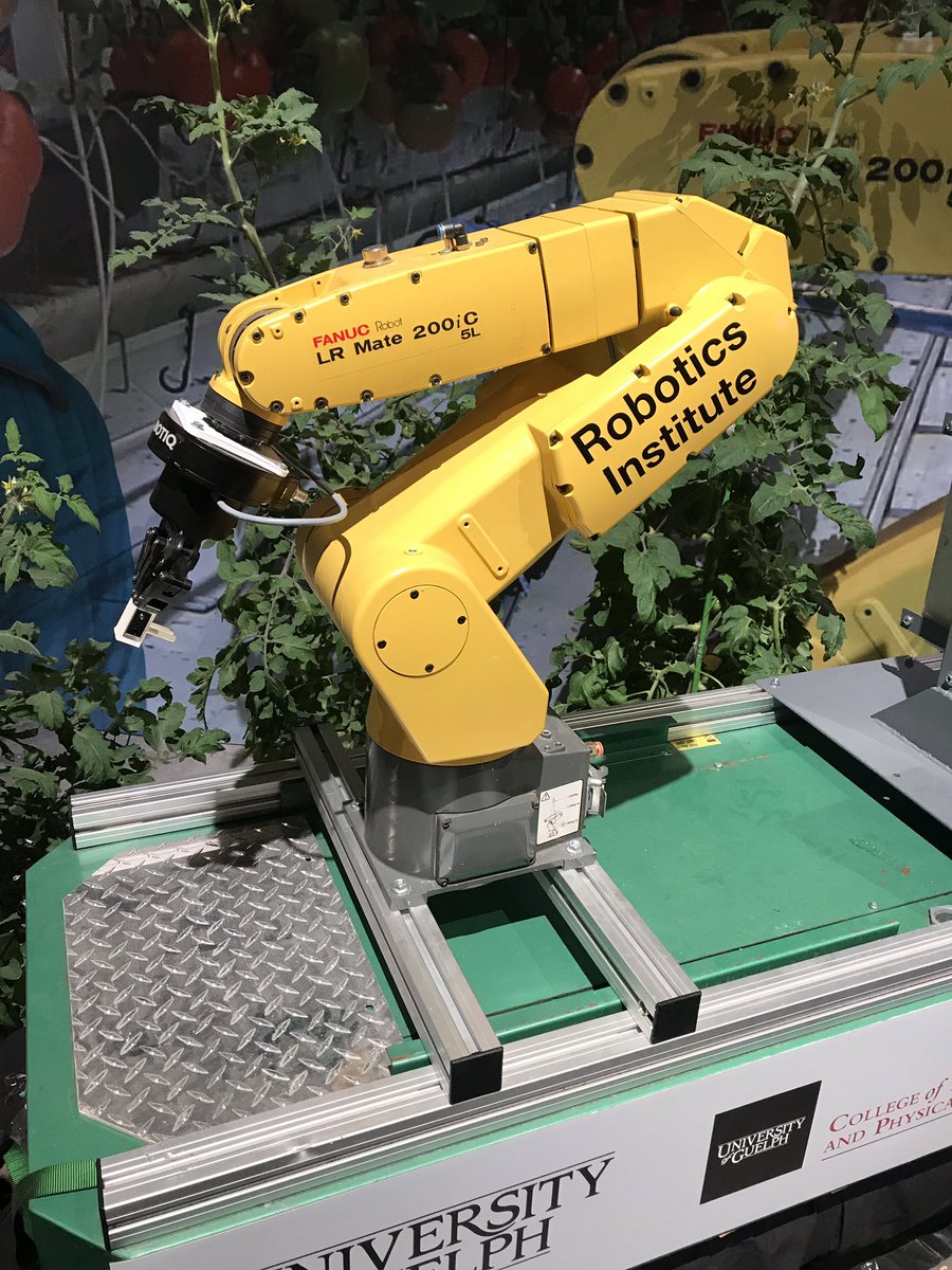 UofGuelphOAC's tweet image. DYK robots are picking your veggies!? 🍅🥒🌶
This robot, the Guelph Intelligent Greenhouse Automative System (GIGAS), can harvest, package and de-leaf veggies like tomatoes and cucumbers!
Come visit us at the @THERAWF to learn more!
