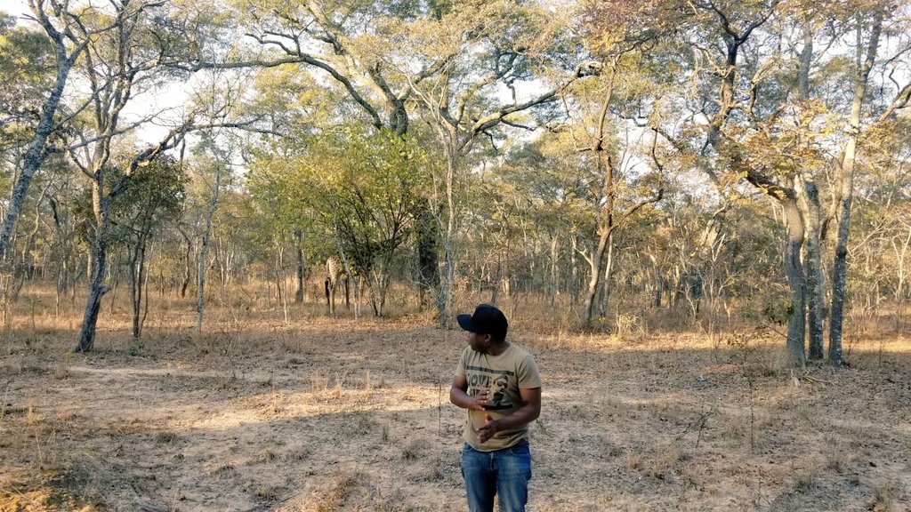 #AboutTheWeekend #HorseRiding #Think #Giraffe #Nature #HarareInHD #Tia