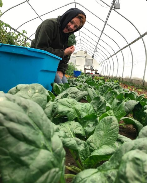 ThisIsVT's tweet image. Nothing is sweeter than fall and winter spinach... well.. except my lovely wife of course 😊
#MondayMotivation #MondayMorning #spinach #fallharvest #bounty #knowyourfarmer #knowyourfood @RootedinVermont @DigInVT #pebblebrookfarmvt #vermont #FarmLife
