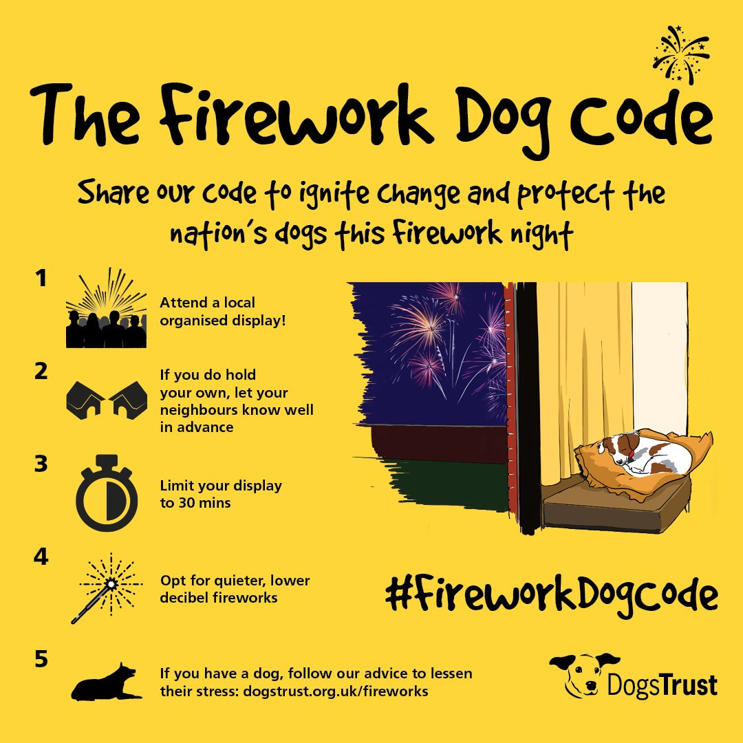 BpoolCouncil's tweet photo. Remember that dogs and other animals can get scared by fireworks this #BonfireNight 💥Help protect the pets in your neighbours by following @DogsTrust #FireworkDogCode 🐶 https://t.co/Vc1GMSbfNu