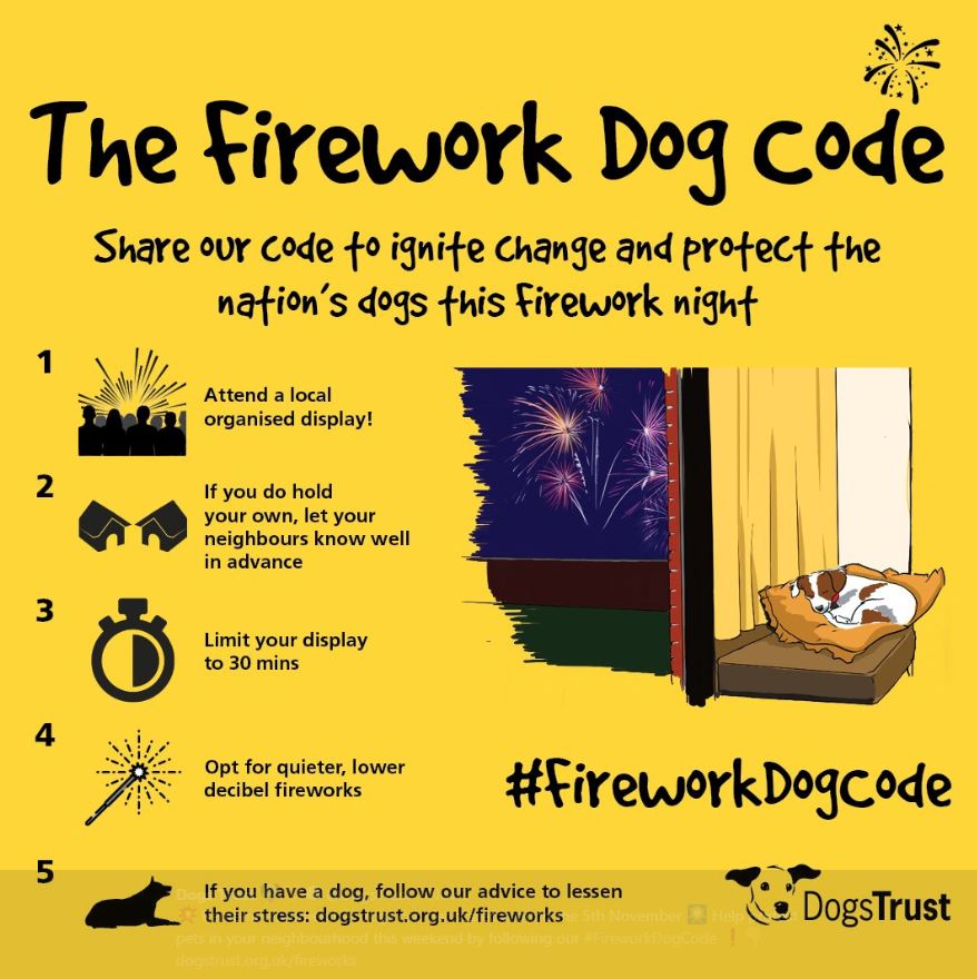 ThreeRiversDC's tweet photo. Some useful information from the @DogsTrust 
💥 Remember, remember dogs can get scared around the 5th November 🎆 Help protect pets in your neighbourhood by following the #FireworkDogCode  https://t.co/2kVFQnHX0y https://t.co/BxObMGKePN
