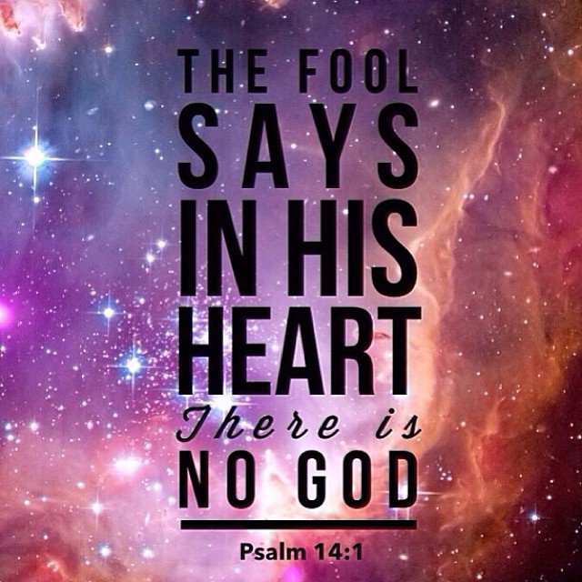 TriniaLee's tweet image. #Fool #AFool #Fools