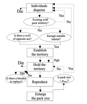oaggimenez's tweet image. Wolf model from Marucco &amp;amp; @eliotmcintire coded in #rstats w/ #NetLogoR &amp;amp; #SpaDES bit.ly/2QgZInn