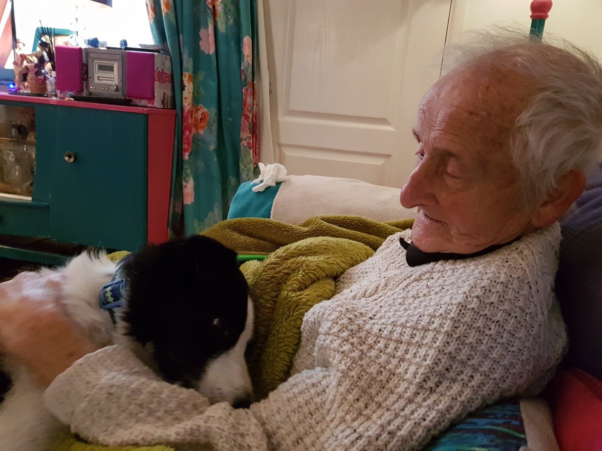 access_fulfil's tweet photo. So visiting my dad who is not very well. took the dog along. #Moments https://t.co/L9lBFwRFxy