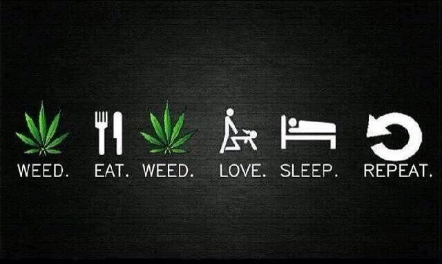 CrazzyweedTM's tweet photo. My daily Routine!

 #weed #Ganja #Bud #kush #pot #weedmemes #weedporn #ganjaburn 
#stoner #420life #420memes #MondayMotivation  #MondayMorning #marijuana https://t.co/j6CxK8fIP9