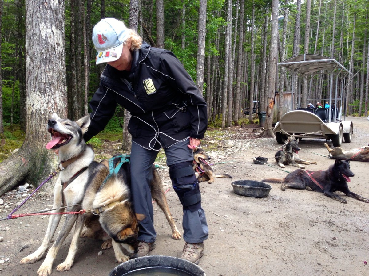 Everwalking's tweet photo. So happy that one of our LGD Jacket owners, Linda, who has had the LGD Jacket since 2011, considers it her "to go" jacket, especially while on an adventure on the glaciers of Alaska, sled dog training and zip lining! https://t.co/AC9daTZuIb  Being prepared never looked so good! https://t.co/9ZTIwHTuM6
