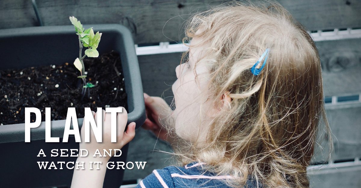 The science is in - dirt is good for you! Boost those immunities by planting your favorite veggies this fall.
#AISDGreen @SFClocal @TXchildren