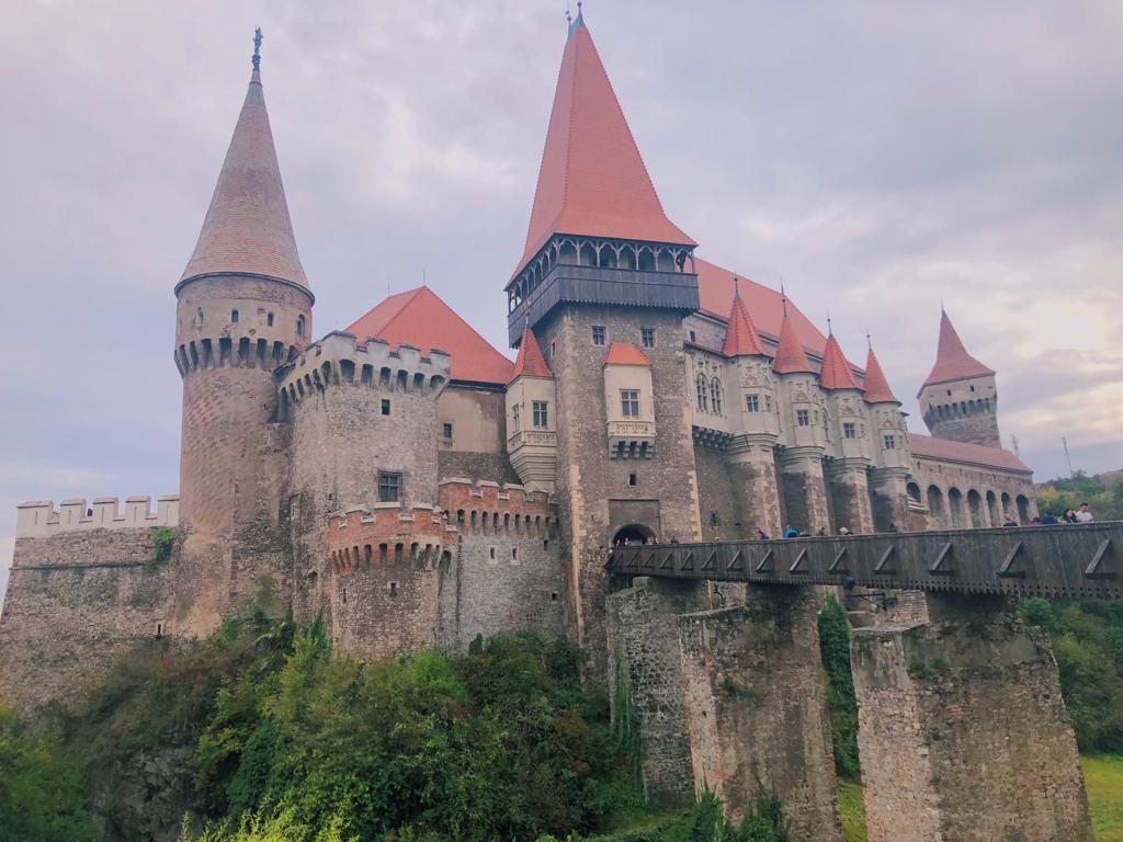 JessMSelby's tweet photo. Things have been crazy over on my end of the world due to numerous personal and professional projects and a bout of pneumonia (😅) but I’m back on Twitter! Here are a few photos of my last couple of weeks to make up for my cyber-absence. #HITMC #pinksocks #HITchicks https://t.co/FZEj9zecZG