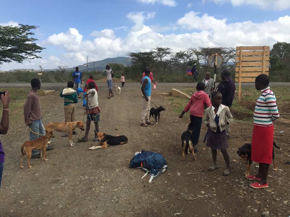 Dedan_Ngatia's tweet photo. A third successful weekend of vaccinations! #2022 animals (including 15 donkeys!😀) vaccinated in a record 2 days. We continue with our #FightAgaistRabies, please continue supporting us! #LRVC #ZeroRabies https://t.co/qoFklvT4lc