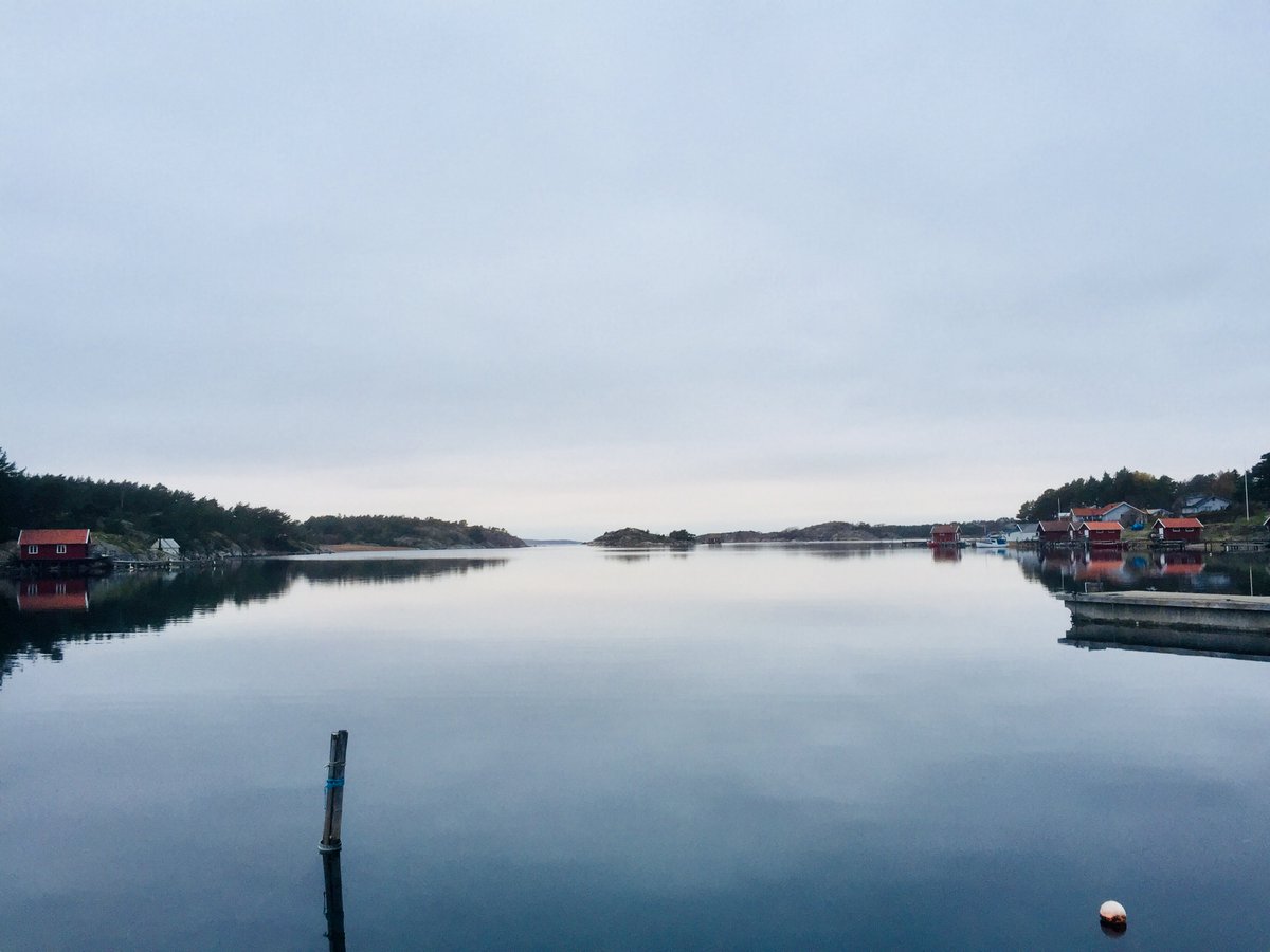 The beautiful Sven Lovén Centre for Marine Infrastructure - Tjärnö #TjarnoLab of @uniofgothenburg is an awesome venue for the 1-week #bioinformaticpipelines2018 course about #PopulationGenomics analyses taught by @pierre_dewit @heatshok & co. sites.google.com/view/bioinform…