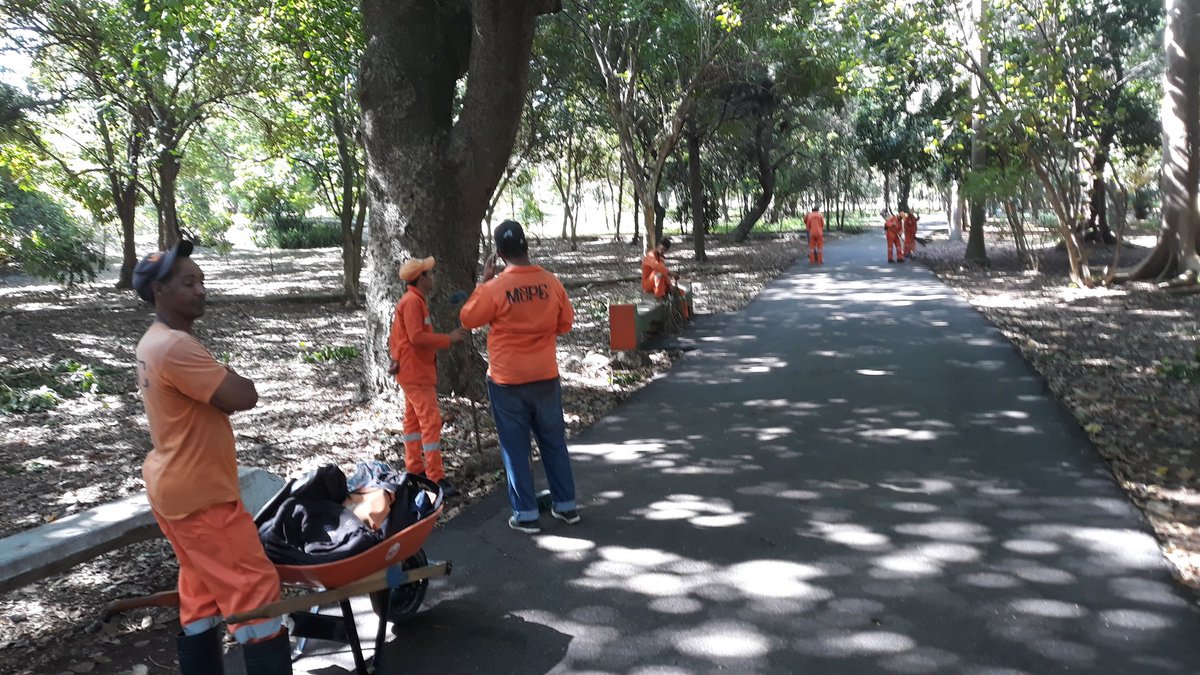 AyacxMercedes's tweet image. Agradezco el servicio público ofrecido, pero en que ordenamiento institucional hace sentido esta brigada de @MOPCRD limpiando el Mirador Sur? @obandoprestol @MapRDo @fedomurd @h_medrano @domingomatias #preguntando