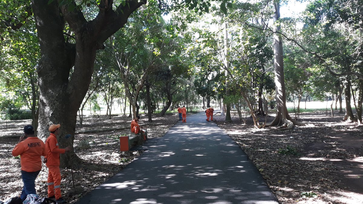 AyacxMercedes's tweet image. Agradezco el servicio público ofrecido, pero en que ordenamiento institucional hace sentido esta brigada de @MOPCRD limpiando el Mirador Sur? @obandoprestol @MapRDo @fedomurd @h_medrano @domingomatias #preguntando