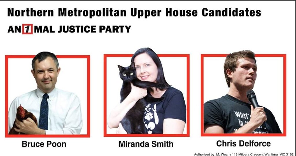 DrNRichingsAJP's tweet photo. Power lineup in Upper House Northern Metro.
1.@BrucePoon National President
2.Miranda Smith Victorian Convenor
3. #ChrisDelforce #AussieFarms #Lucent #Dominion
#Vote1AJP
#animals
#AnimalJusticeParty
#DominionMovement
#wewillrisetogether
#auspol
@AJP_Victoria
@animaljusticeAU https://t.co/egyqPho3ZJ