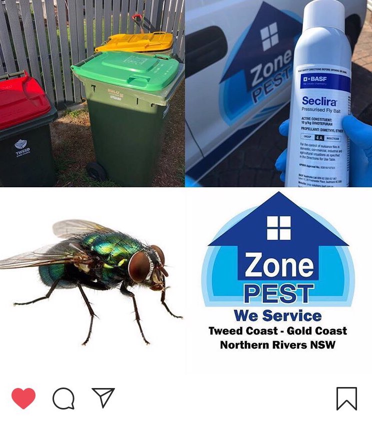 Zone Pest Control Pottsville Pest Control