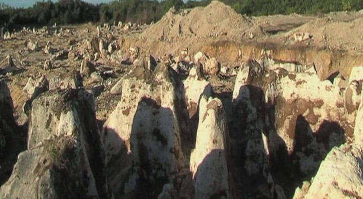 Et l'environnement dans tout ça ?Aujourd'hui, la quasi-totalité du territoire Nauru ressemble a un désert de pierre.L'exploitation du phosphore a détruit 80% de la surface de l'île (creusée).La déforestation a tué la majeure partie des espèces d'oiseaux vivant à Nauru.