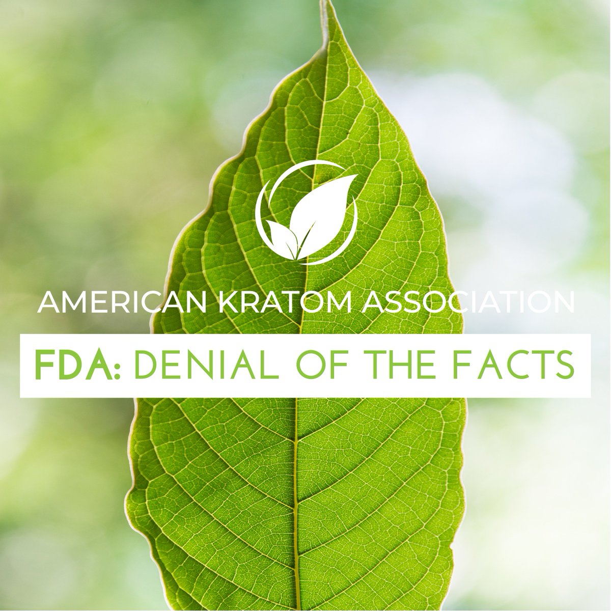 TheKratomAssn's tweet image. LIKE and SHARE: Despite compelling science surrounding Kratom supported by hundreds of experts, the FDA continues to deny the facts. #KeepKratomLegal #FollowTheScience
