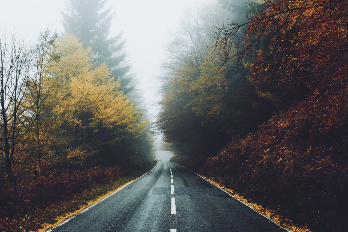 Daniel Casson tweet media