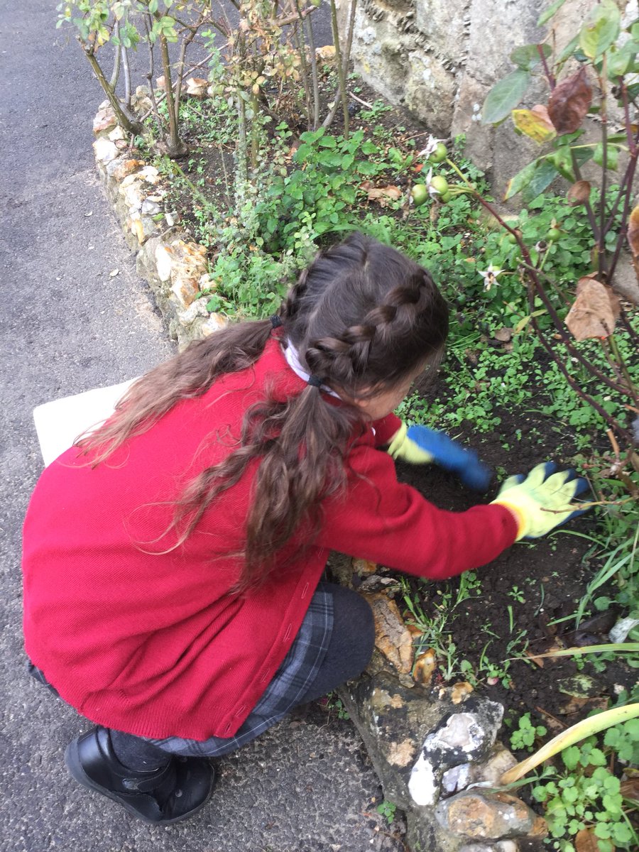 Eco Club have been planting tulip bulbs outside the Prep School today.