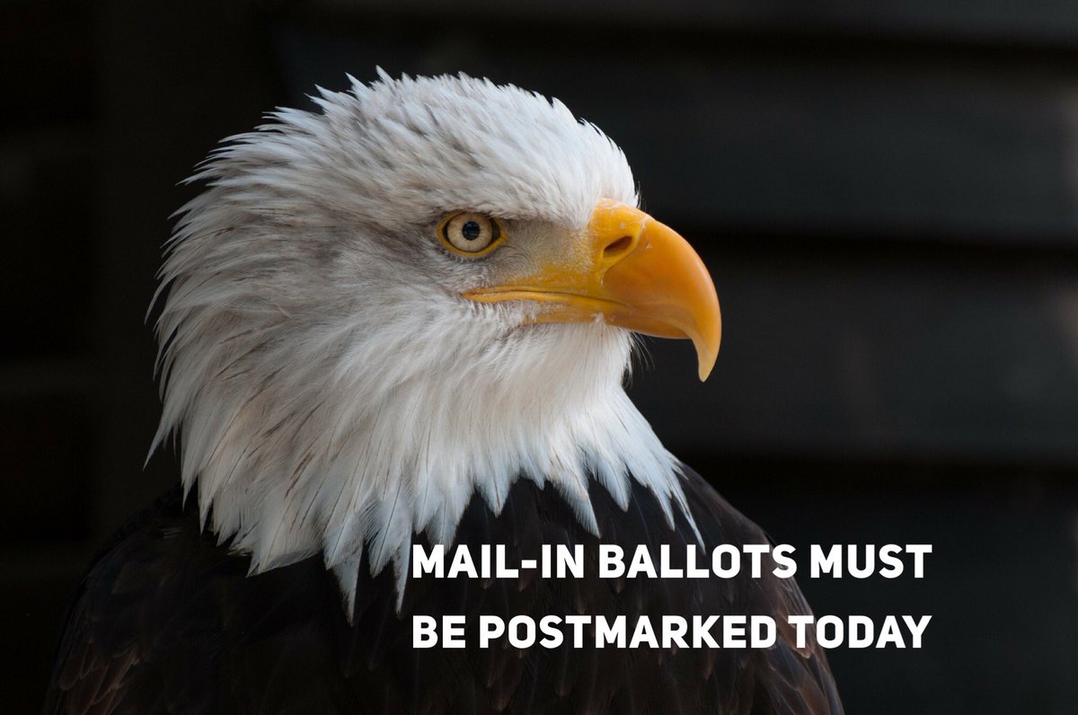 Today is the last chance to mail in your ballot. Find locations for SL county drop boxes at slco.org/clerk/election… #vote #gotv #writeinmonicaz #utah #votebymail