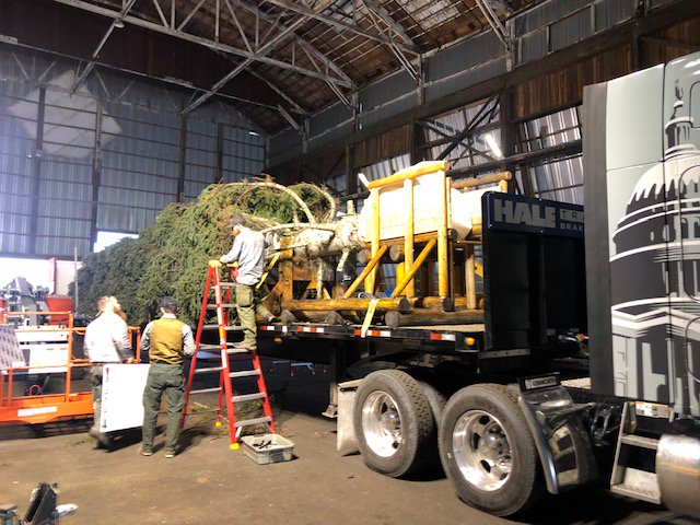 TracktheTree's tweet photo. Only 4 more days until the first stop on the @CapitolTree2018 tour in Sweet Home, Oregon at Sweet Home High School! #OneTreeOneTownOneSweetYear #TrackTheTree https://t.co/uTteMUsxqV