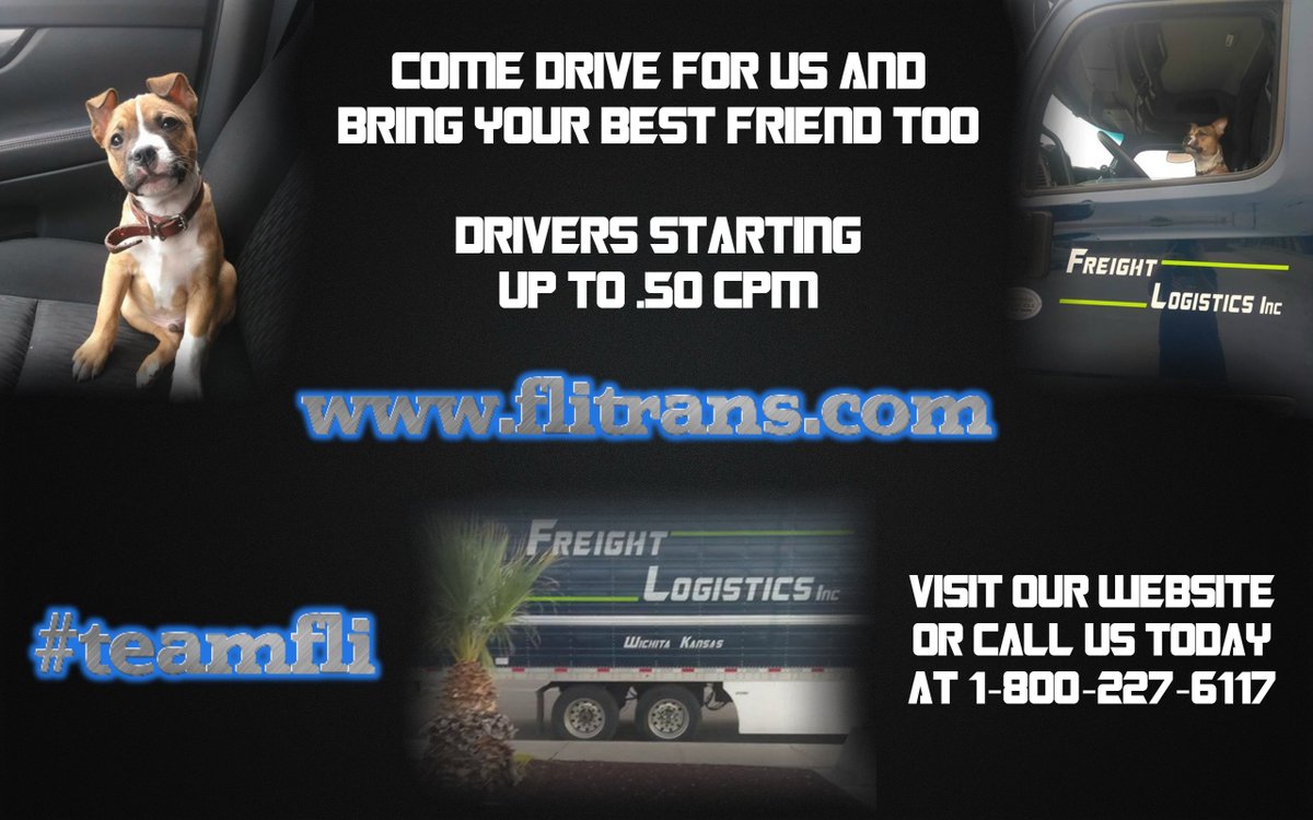 flitrans's tweet photo. Come drive with Freight Logistics and bring your best friend with you! Up to .50 CPM dependent upon experience. Ask about our sign on bonus and generous benefits! #teamfli #drivingjobs #hiringnow #trucking #truckers #drivers #truckingjobs https://t.co/GFf6TwAEoU https://t.co/UGlThF3VP4