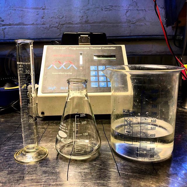 brooklyn_bio's tweet photo. Various sized containers needed for solutions (both literal + figurative).
.
.
.
#solutions #sciencesolutions #science #molecularbiology #molbio #dna #synbio #flasks #beakers #graduatedcylinders #genetics #cloning #brooklynbusiness https://t.co/OA2xgGdaJz https://t.co/UhBq0STp6j