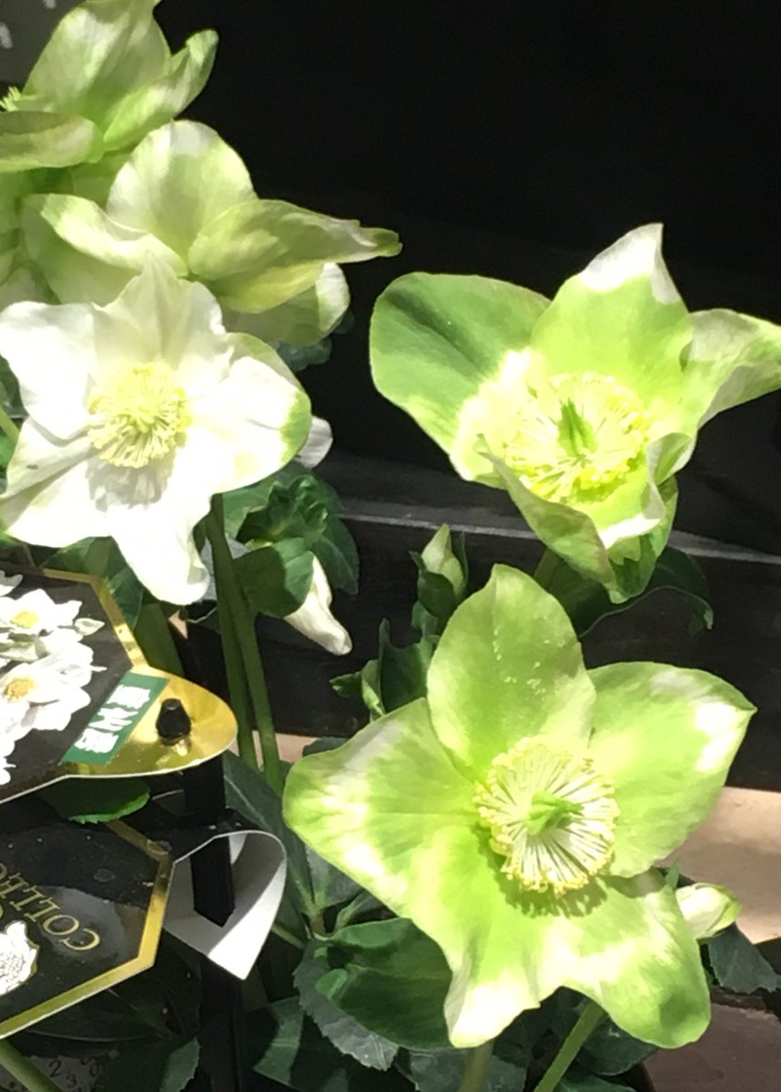 ありがとうな気持ち