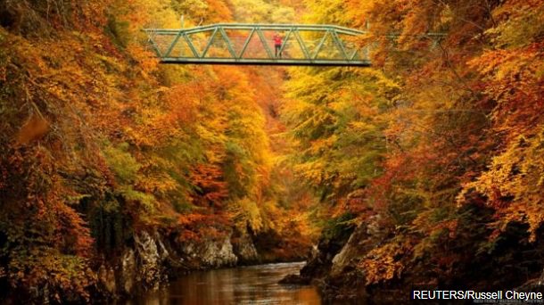 bbcweather's tweet image. From Scotland to South Korea, here's a selection of stunning autumnal images from around the world bbc.in/2Do2JiX
