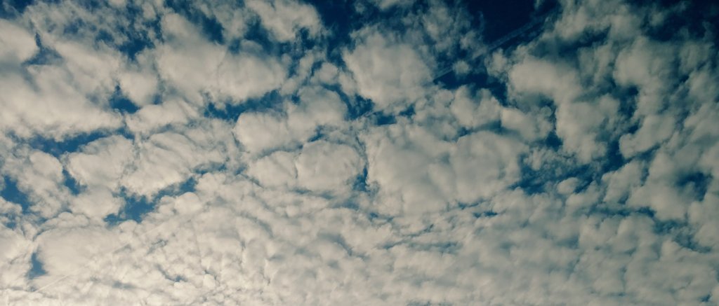 GDG Cloud NL tweet media