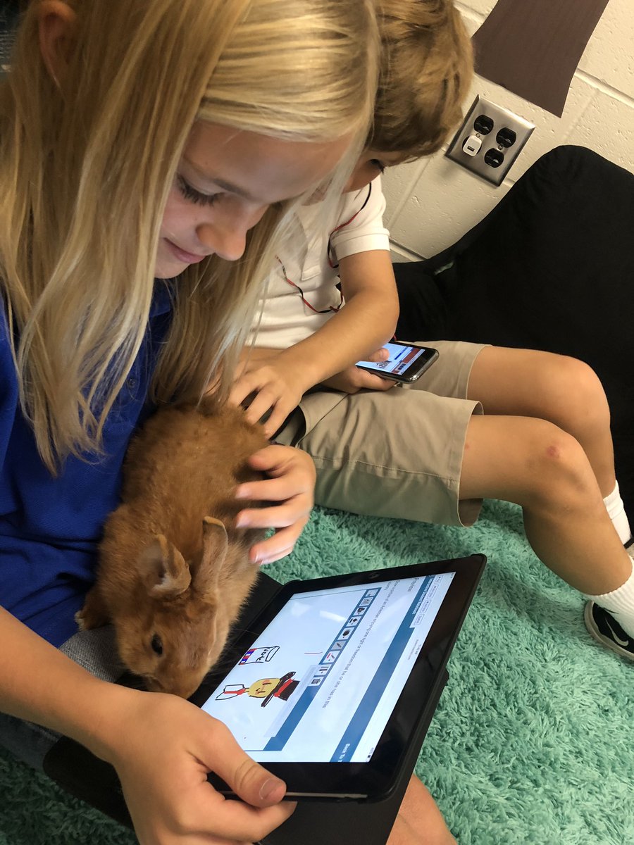 HalleyUrbanak's tweet image. Our Tech Center today was Social Studies! My 5ths learned about The Bill of Rights on their online textbooks (and played games and did drawings to reinforce what they read/listened to) while I taught small group. Even Winston was engaged 🐰! @cypresscreekvcs #vcsblendedlearning